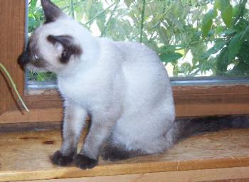 Bibi Bild von Bibi