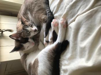 Nap Bild von Nap