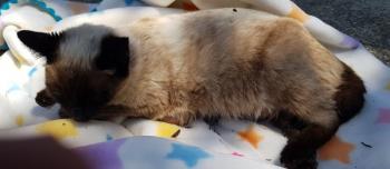 Princess Bild von Princess