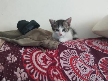 Keira Bild von Keira
