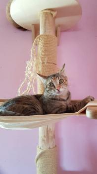 Mery Bild von Mery