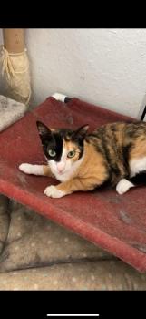 Loira Bild von Loira
