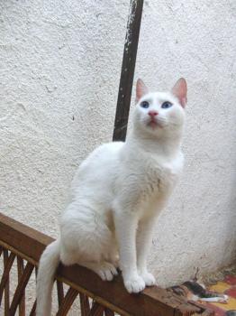 Margo Bild von Margo