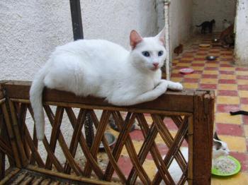 Margo Bild von Margo