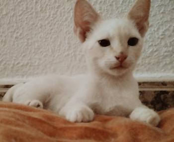 Yuki Bild von Yuki