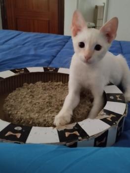 Yuki Bild von Yuki