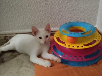 Yuki Bild von Yuki