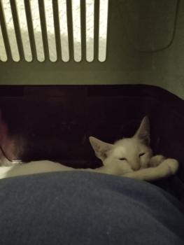 Yuki Bild von Yuki