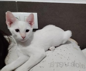 Yuki Bild von Yuki