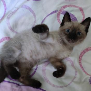 Coco Bild von Coco