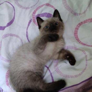 Coco Bild von Coco