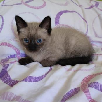 Coco Bild von Coco