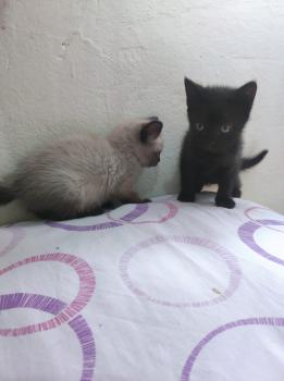Coco Bild von Coco