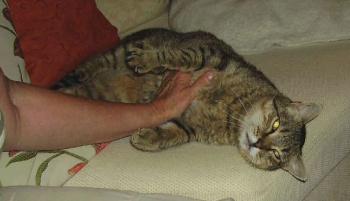 Amor Bild von Amor