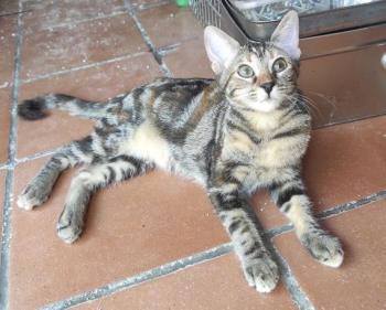 Elanor Bild von Elanor