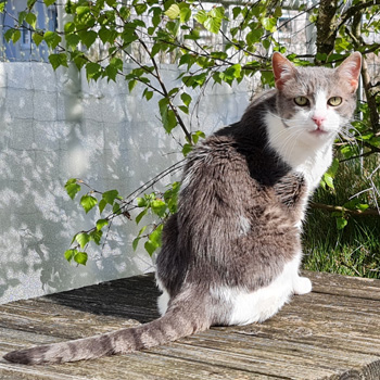 Paula Bild von Paula