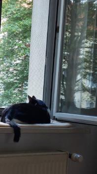 Peluso Bild von Peluso