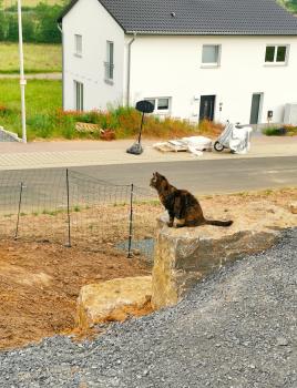 Fame Bild von Fame