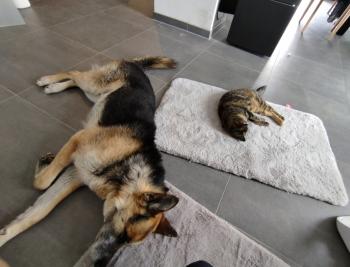 Fame Bild von Fame