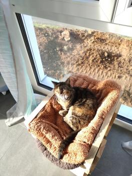 Fame Bild von Fame