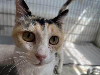 Rosalba Bild von Rosalba