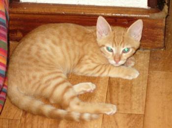 Jack Bild von Jack