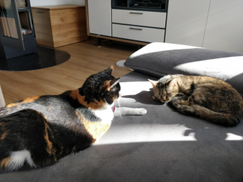 Magui Bild von Magui