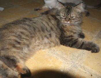Bild von Lily