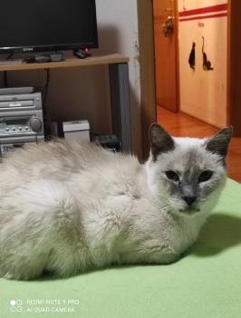 Eugenia Bild von Eugenia