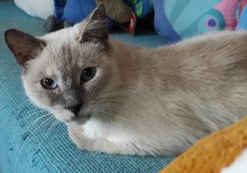 Eugenia Bild von Eugenia
