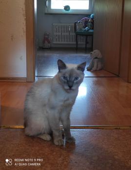 Eugenia Bild von Eugenia