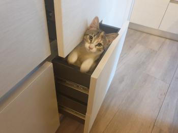 Tami Bild von Tami