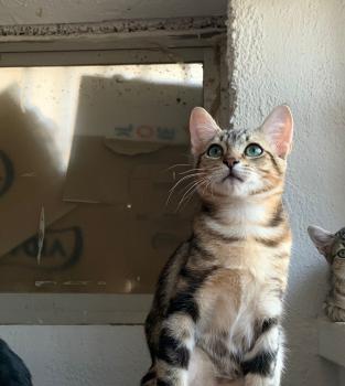 Lulú Bild von Lulú