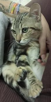 Lulú Bild von Lulú