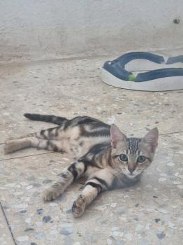 Lulú Bild von Lulú