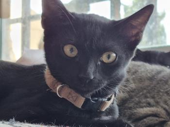 Bonnie Bild von Bonnie