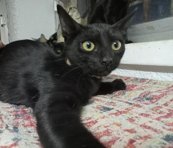 Bonnie Bild von Bonnie