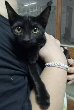 Bonnie Bild von Bonnie
