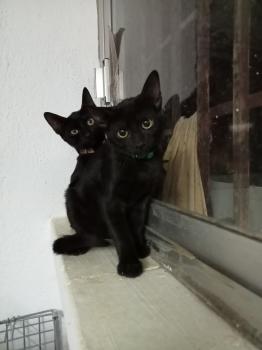 Bonnie Bild von Bonnie