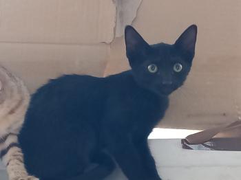 Bonnie Bild von Bonnie
