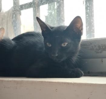 Bonnie Bild von Bonnie