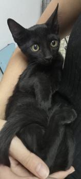 Bonnie Bild von Bonnie