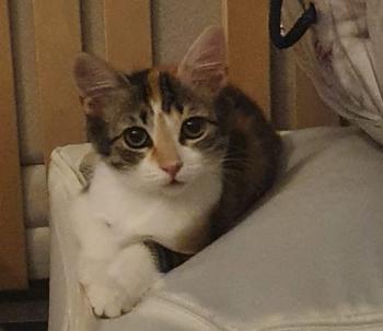 Olivia Bild von Olivia