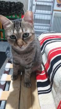 Bimba Bild von Bimba