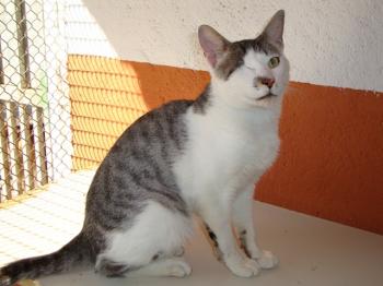 Tuerti Bild von Tuerti