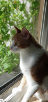 Rafi Bild von Rafi