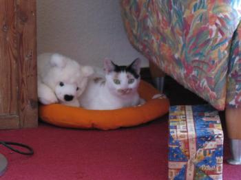 Sodfa Bild von Miss Sodfa