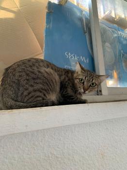 Ivanna Bild von Ivanna