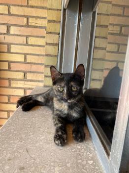Zoe Bild von Zoe