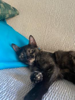 Zoe Bild von Zoe